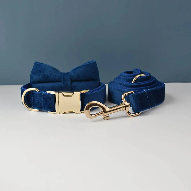 Luxury Dog Leash and Collar ,retractable walking collar for small and big pet .