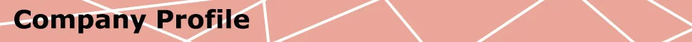 QZ031 Women Sexy Lingerie Lenceria Three Point Bikini Set Sex Erotic Underwear Open Bra+thong Pant Perspective  Porn Costumes