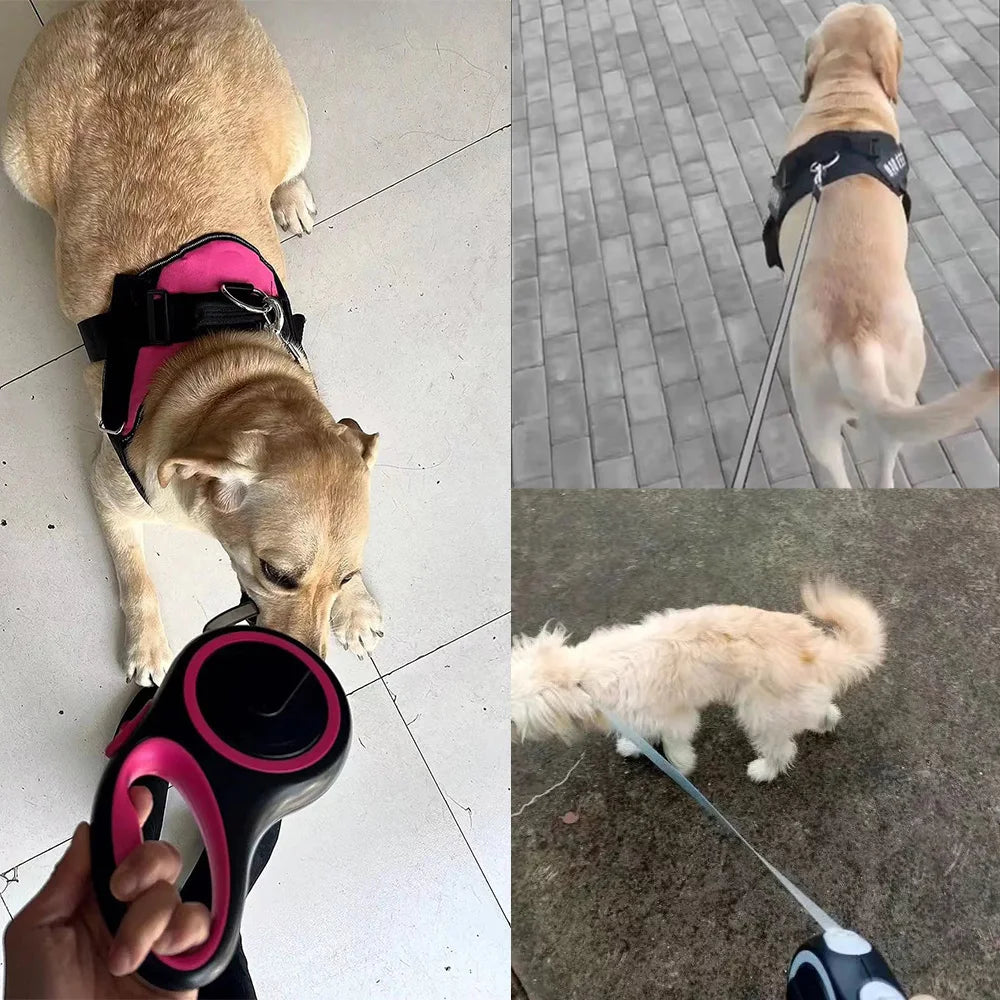 Outdoor Hiking 5m Plus 8M Pet Dog Leash For Small Large Dogs Cats Retractable Puppy Lead Chain Golden Retriever Pug Accessories