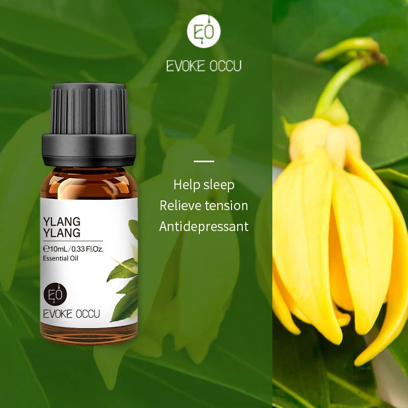 EVOKE OCCU 10mL Essential Oil, Lavender Jasmine Rose Vanilla Pure Natural Oil for Diffuser Humidifier Massage Candle Soap Making