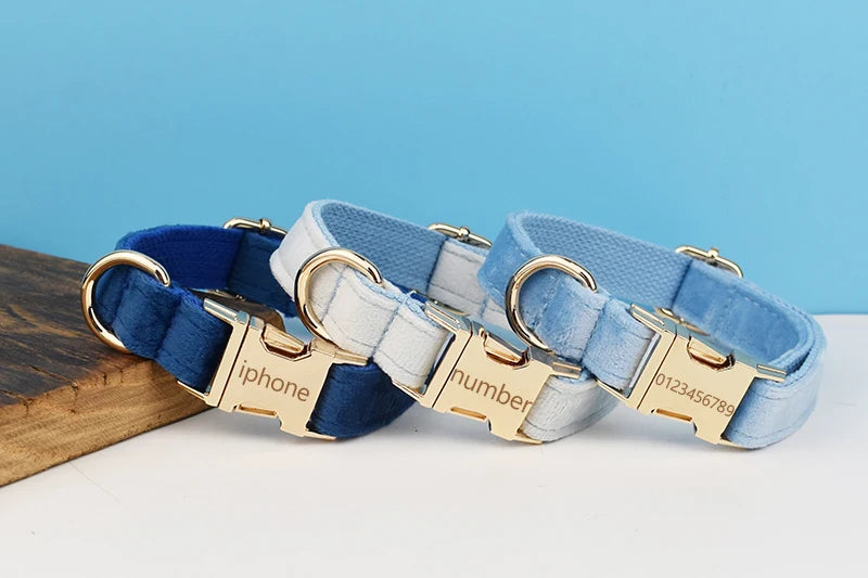 Luxury Dog Leash and Collar ，retractable walking collar for small and big pet .
