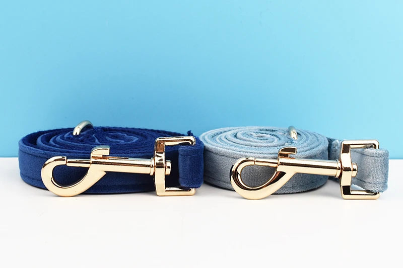 Luxury Dog Leash and Collar ，retractable walking collar for small and big pet .