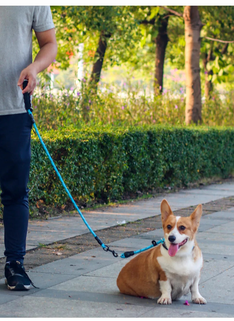 Dog Collar P Chain Pet Collars Adjustable Collar Dog Walking Training P Chain Dogs Collars Reflective Dogs Ropes Pet Accessories