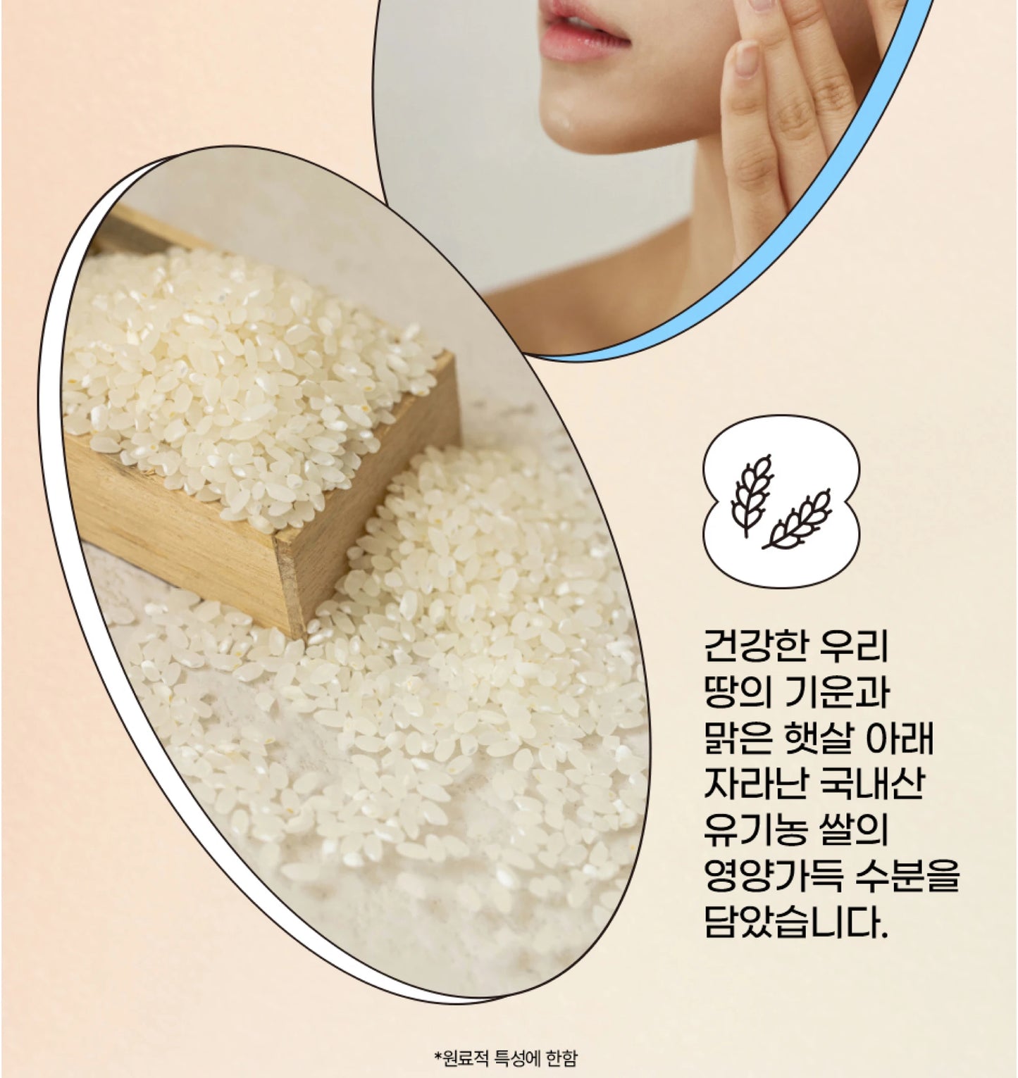 SPF50+ Beauty of Joseon Sunscreen Korean Rice Probiotic Solar Blocker Skin Cream Anti UV Sun Block Facial Mild Moisturizer 50ml