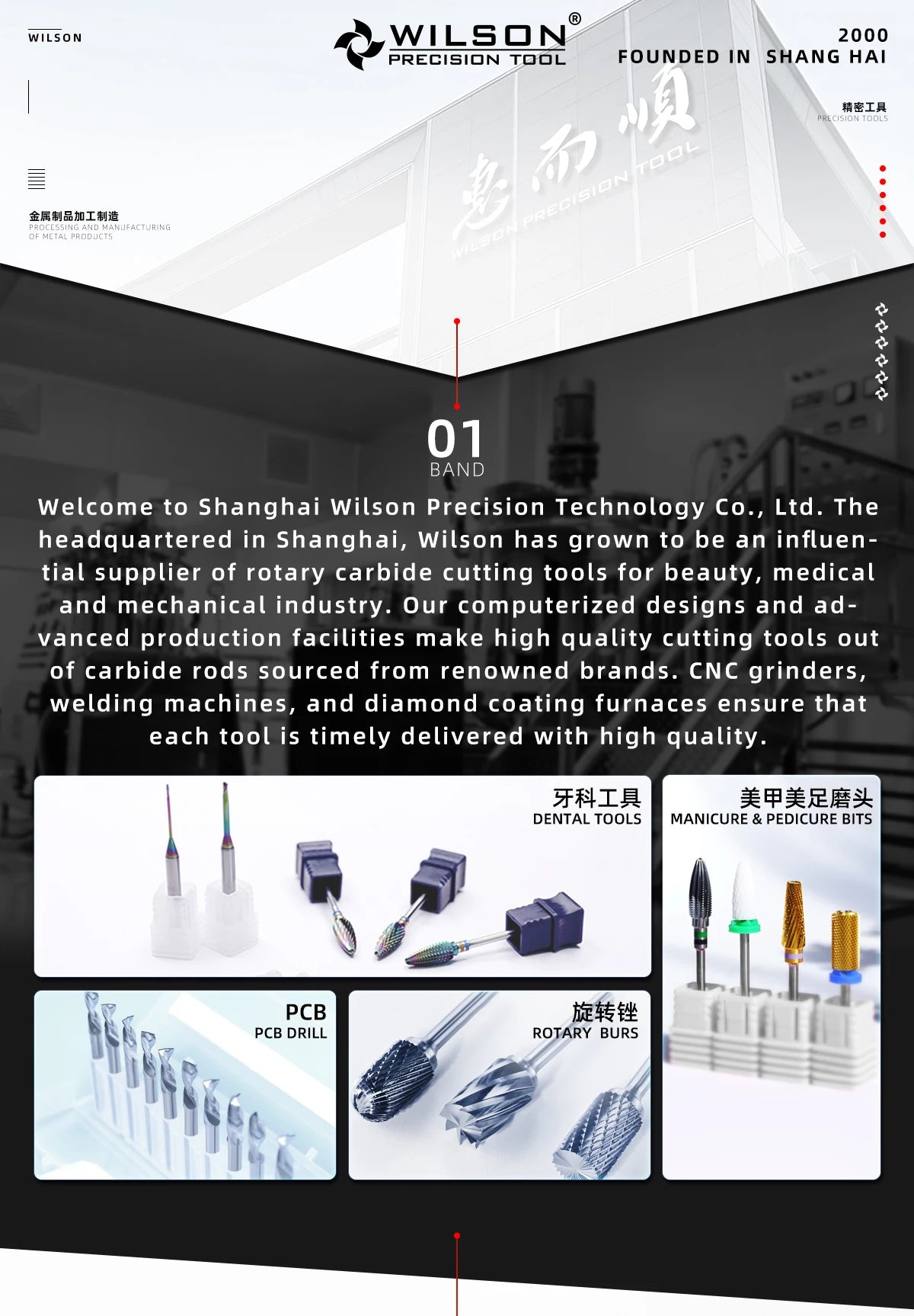 WILSON Typhoon Bits(2 Way)-Tools Nails Cutters for manicure Drill Bits nails accessories remove hard gel