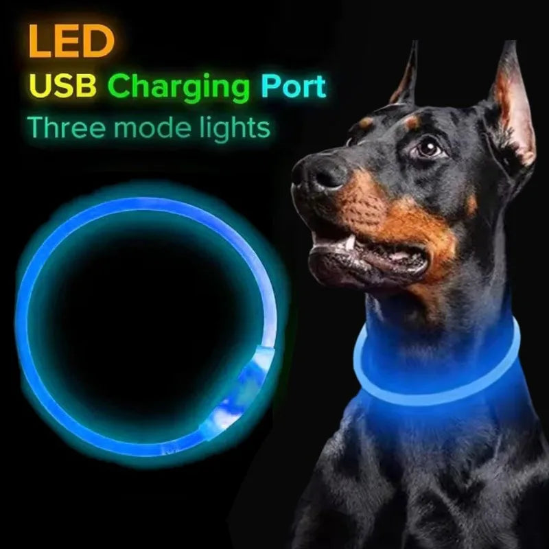 Pet dog LED collar - Dog loss prevention collar - Adjustable collar - Safe USB charging collar - Pet supplies For use at night