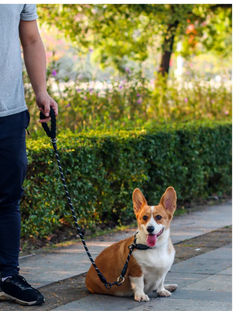 Dog Collar P Chain Pet Collars Adjustable Collar Dog Walking Training P Chain Dogs Collars Reflective Dogs Ropes Pet Accessories