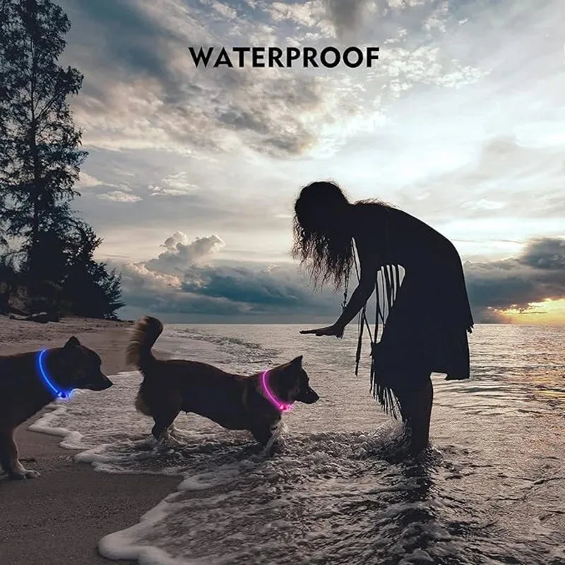 Pet dog LED collar - Dog loss prevention collar - Adjustable collar - Safe USB charging collar - Pet supplies For use at night