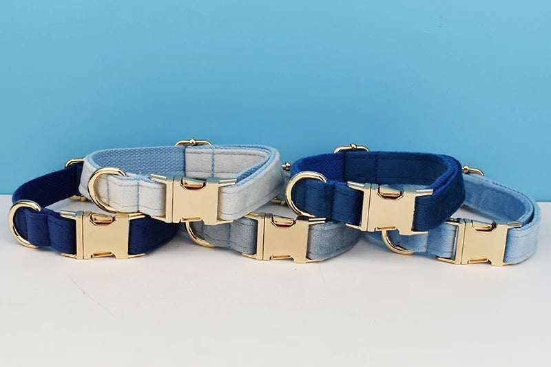 Luxury Dog Leash and Collar ，retractable walking collar for small and big pet .