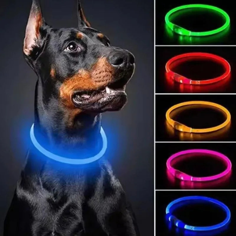 Pet dog LED collar - Dog loss prevention collar - Adjustable collar - Safe USB charging collar - Pet supplies For use at night