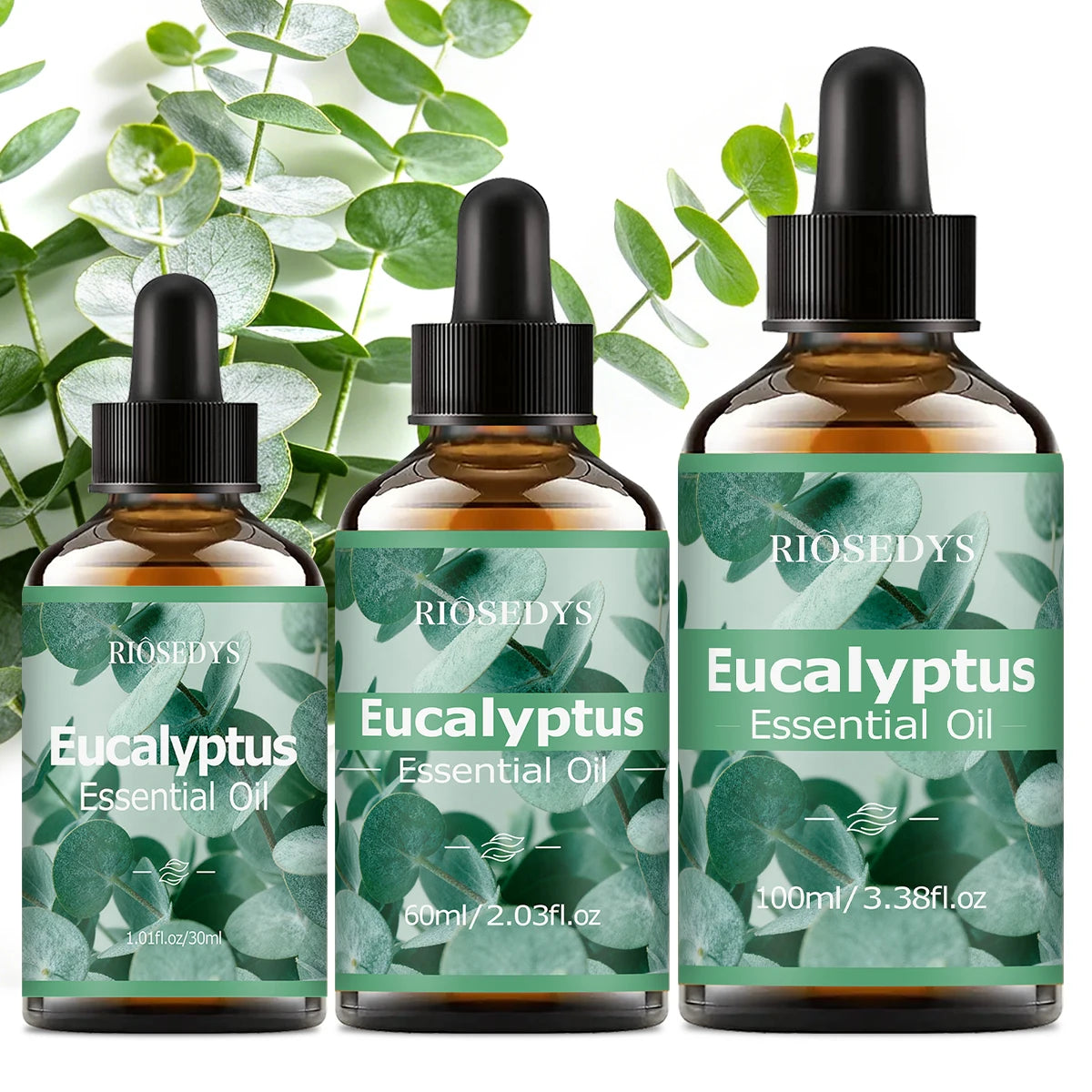 EUCALYPTUS ESSENTIAL OIL is moisturizing and nourishing massage oil suitable for skincare, fragrance, massage,  all skin types.