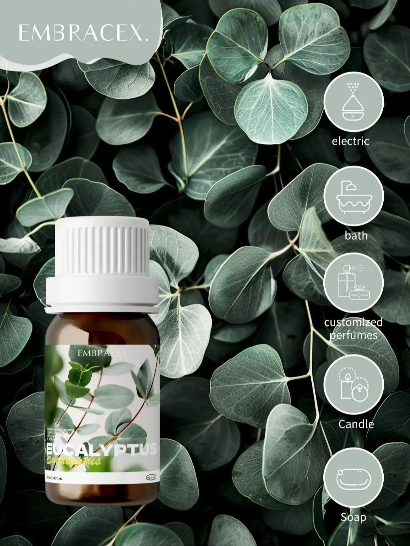 Pure Eucalyptus Essential Oils|100% Natural Eucalyptus Oil|For Hair Care, Home Diffusers, Skin, Aromatherapy, Massage 10ml