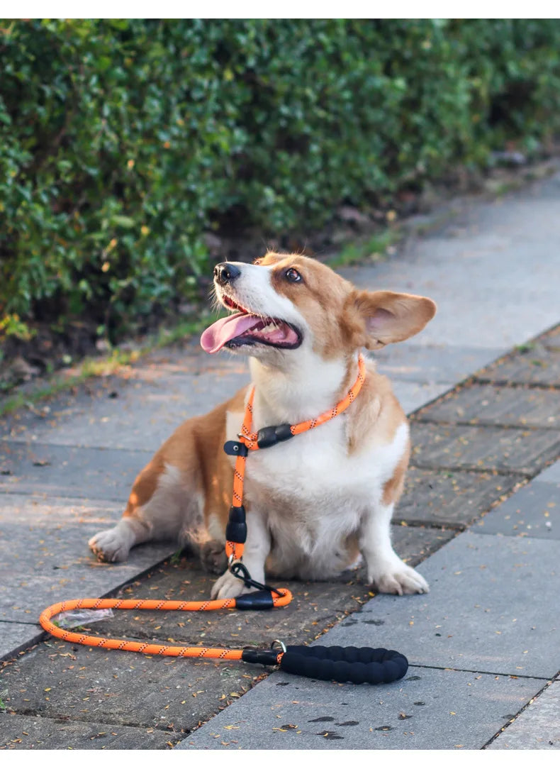 Dog Collar P Chain Pet Collars Adjustable Collar Dog Walking Training P Chain Dogs Collars Reflective Dogs Ropes Pet Accessories