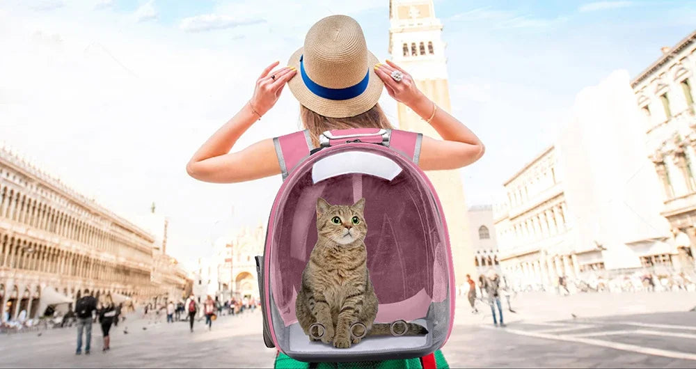 Pet Carriers Cat Carrier Bags Breathable Small Dog Cat Backpack Travel Space Capsule Cage Pet Transport Bag Carrying for Cats