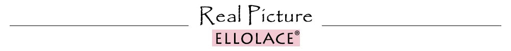 Ellolace Elegant Sexy Female Lingerie Honey Transparent Straps Palace Corset Underwear Dancer Stockings Club Call Of The Night