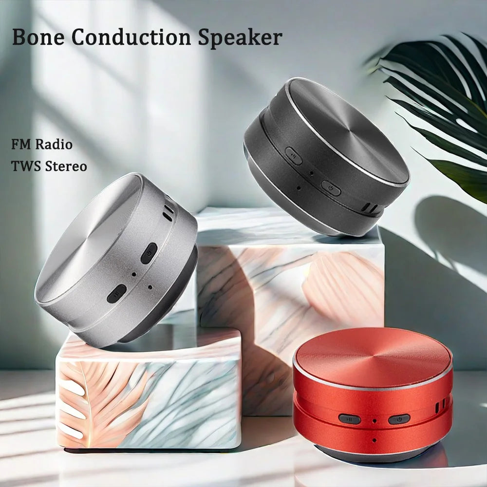 2026 New Bone Conduction Bluetooth Speaker TWS Wireless 3D Stereo Sound Hummingbird Speaker With FM Radio Dropshipping Wholesale