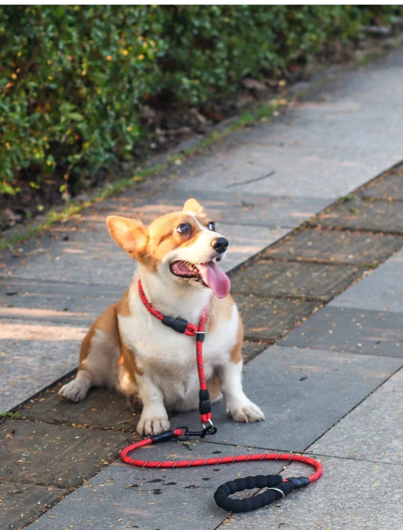 Dog Collar P Chain Pet Collars Adjustable Collar Dog Walking Training P Chain Dogs Collars Reflective Dogs Ropes Pet Accessories