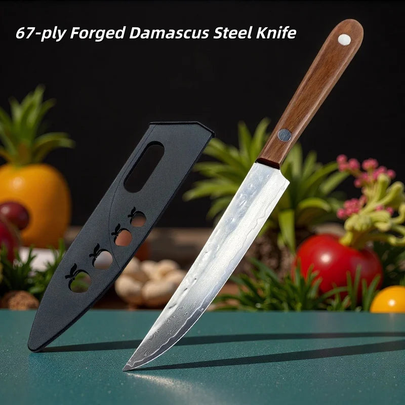 Premium 67-Layer Forged Damascus Steel Fruit Knife With Wooden Handle And Protective Sheath Meat Cutter Vegetable Slicer Knife