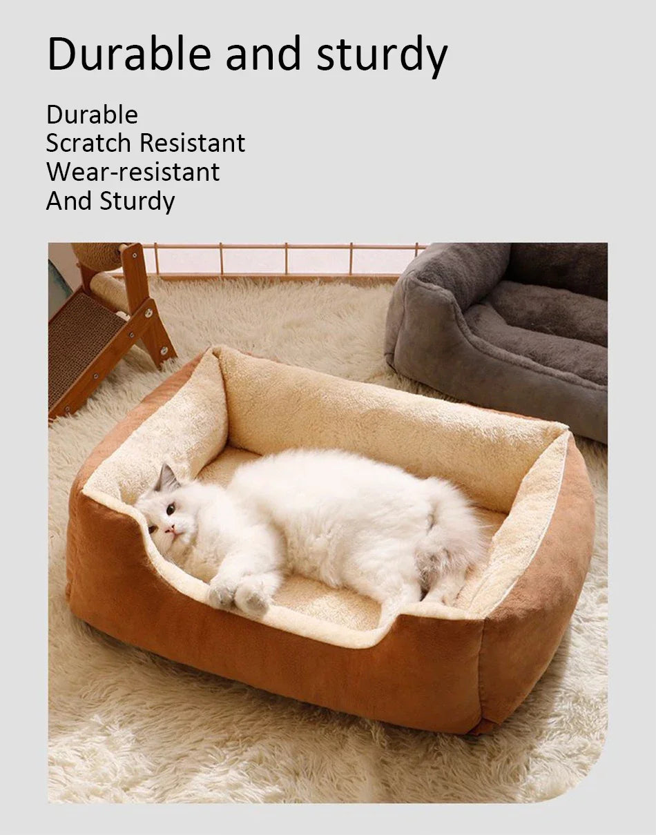 Cats Bed Dog Mat Beds Goods Pet Puppy Accessories All Products Kitten Cushions Things Accessory Houses Habitats House Supplies