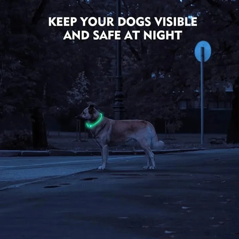 Pet dog LED collar - Dog loss prevention collar - Adjustable collar - Safe USB charging collar - Pet supplies For use at night