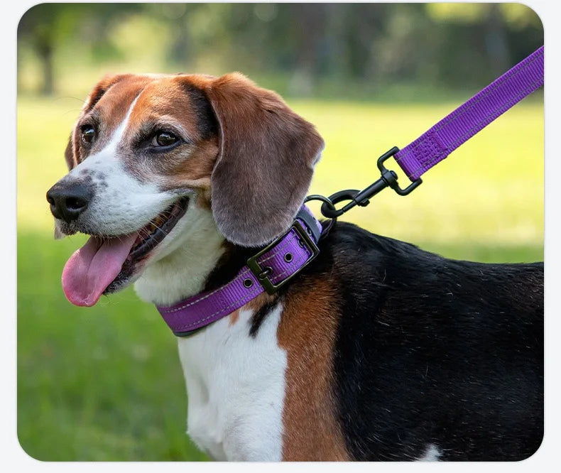 Padded Dog Collars for small Medium large Dogs Reflective Wide Pet Collars Adjustable Heavy Duty Nylon Neoprene Dog Collar