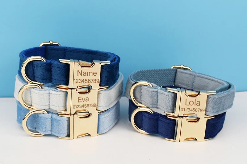Luxury Dog Leash and Collar ，retractable walking collar for small and big pet .