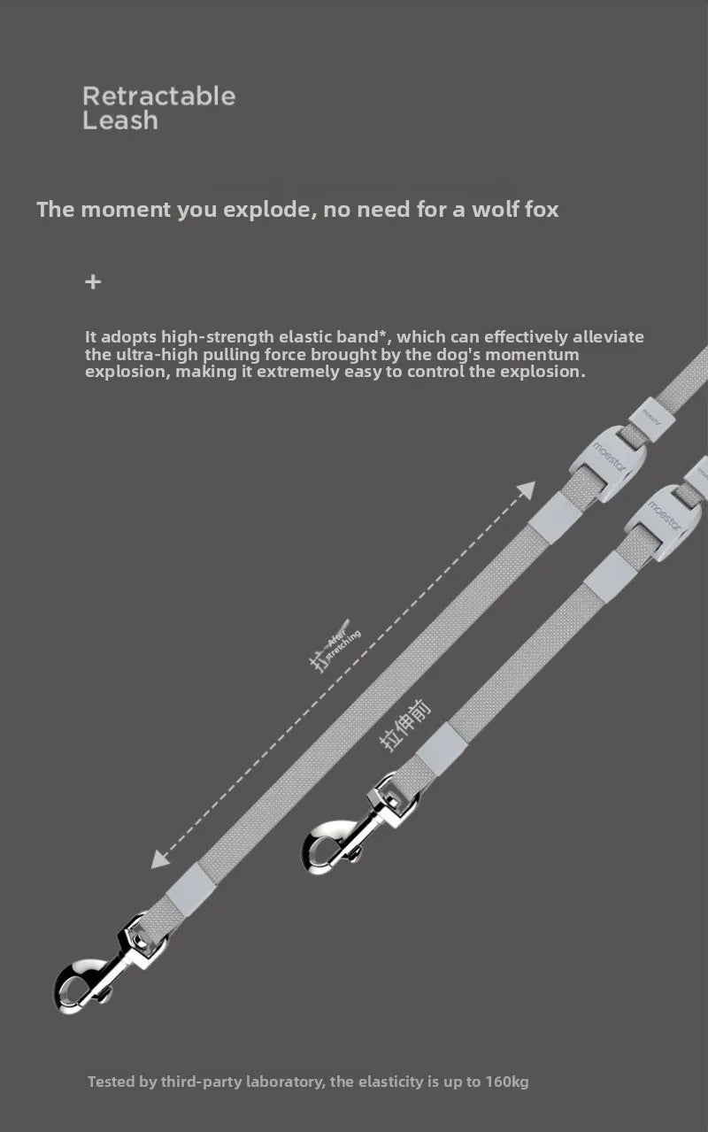 Pet Leash with Light 2.6-meter Automatic Retractable for Walking Cats Dogs Pet Travel Leads Products Puppy Walking Accessories